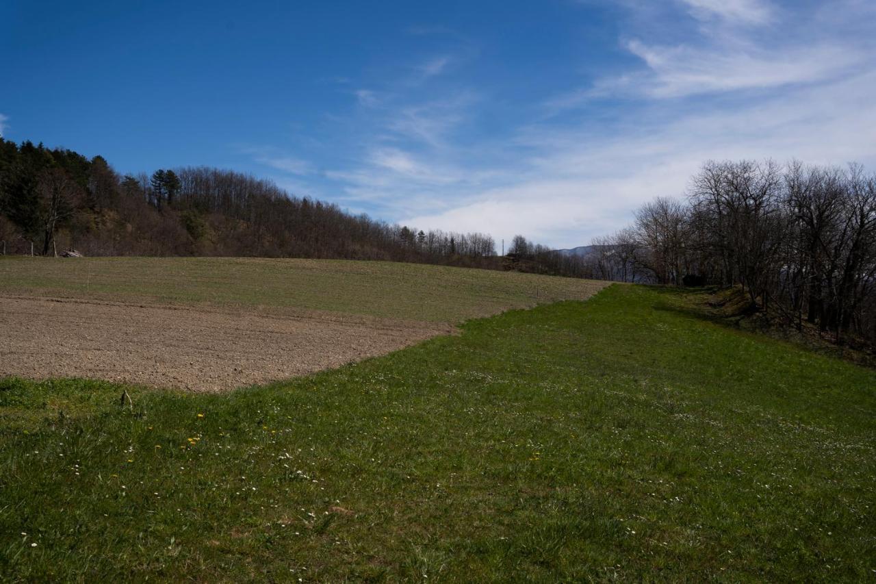 028 - Agriturismo "Il Boschetto" Con Piscina, Pace E Natura - Camera Familiare Cavizzano Eksteriør bilde