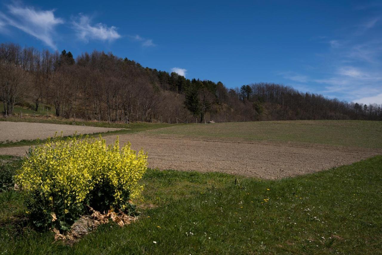 028 - Agriturismo "Il Boschetto" Con Piscina, Pace E Natura - Camera Familiare Cavizzano Eksteriør bilde