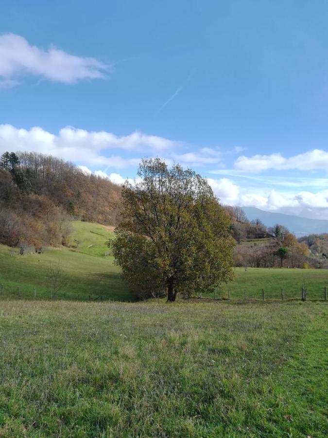 028 - Agriturismo "Il Boschetto" Con Piscina, Pace E Natura - Camera Familiare Cavizzano Eksteriør bilde