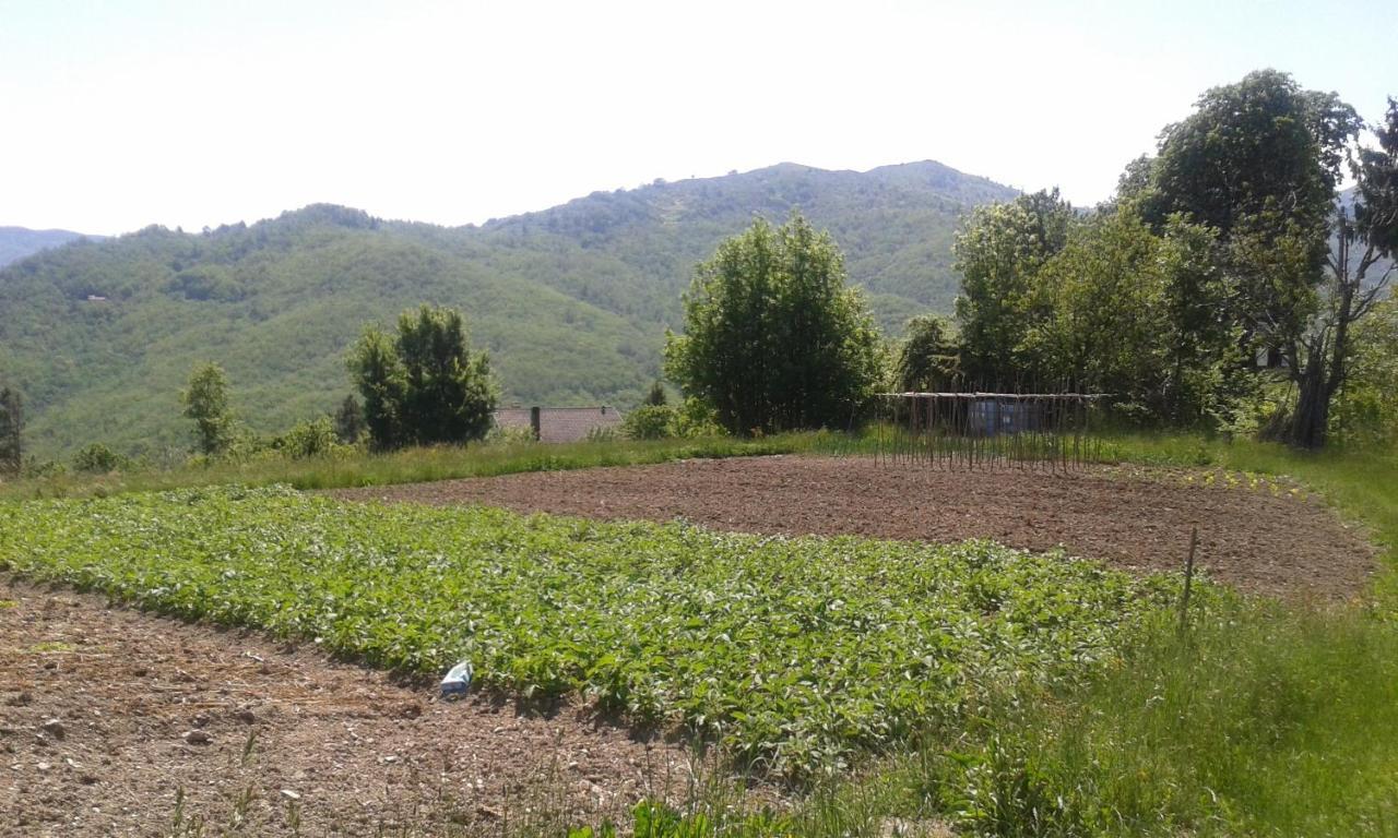 028 - Agriturismo "Il Boschetto" Con Piscina, Pace E Natura - Camera Familiare Cavizzano Eksteriør bilde