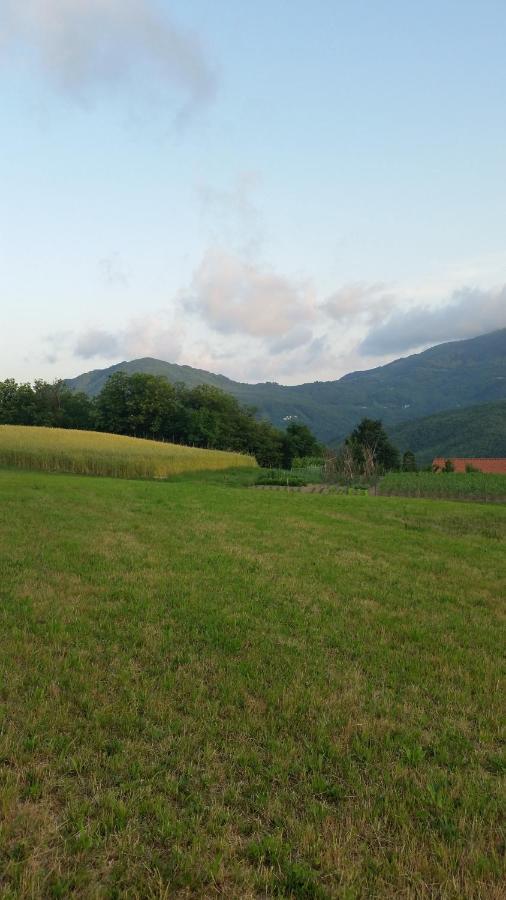 028 - Agriturismo "Il Boschetto" Con Piscina, Pace E Natura - Camera Familiare Cavizzano Eksteriør bilde